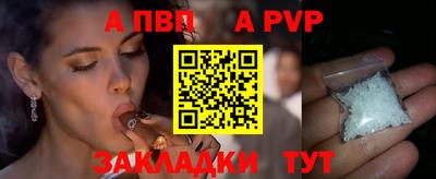 стаф Новодвинск