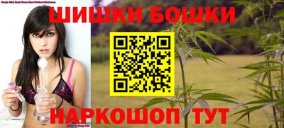МДПВ Новозыбков