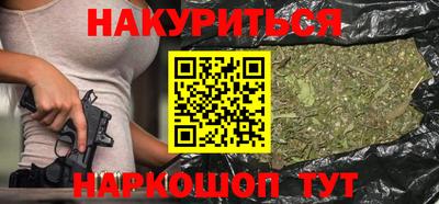 МДПВ Новозыбков
