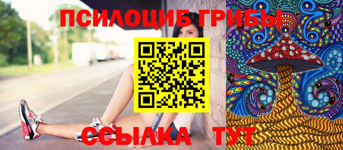 Галлюциногенные грибы прущие грибы  Вход с VPN  Удомля 